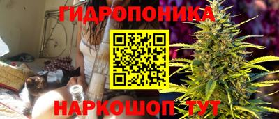ешки Лесосибирск