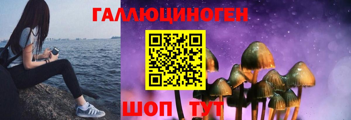 купить наркоту  Вход с VPN  Воронеж  Галлюциногенные грибы прущие грибы  Галлюциногенные грибы мухоморы 